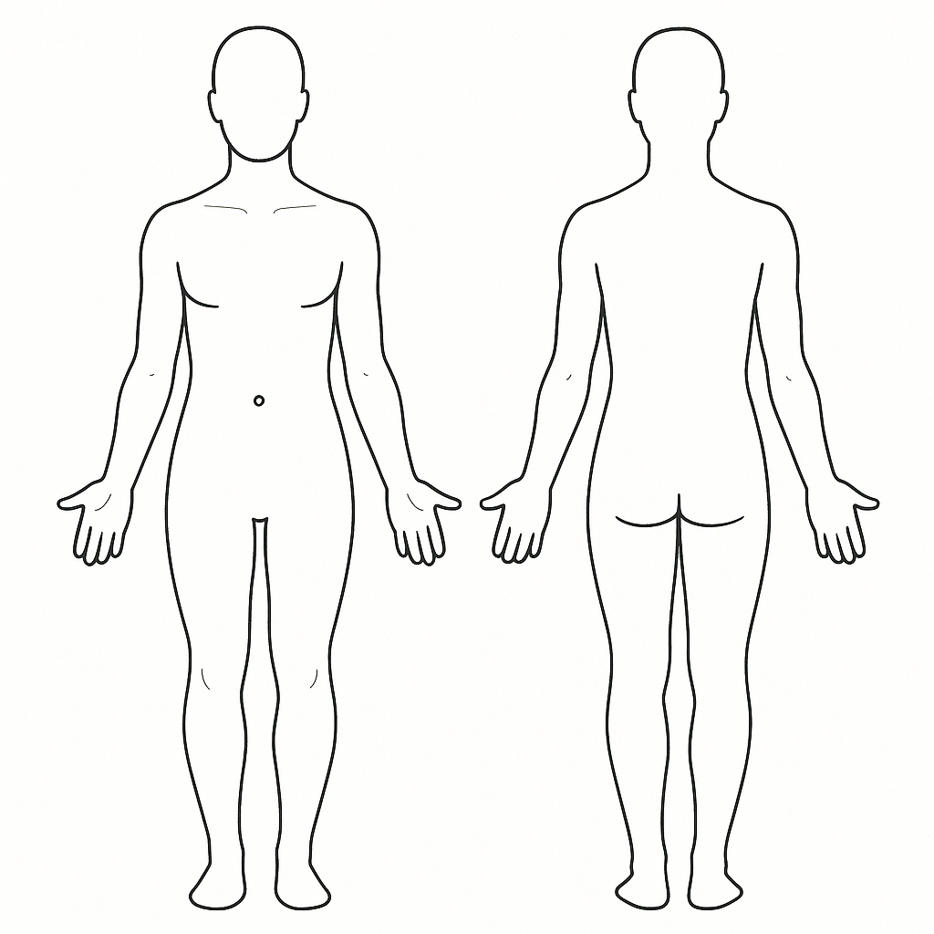 Anatomical chart showing skinfold sites
